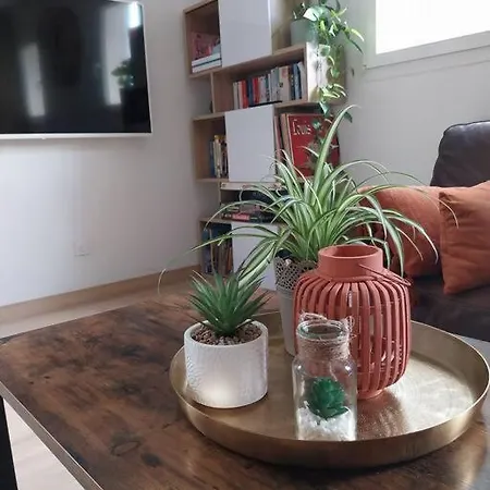 아파트 T3 Avec Jacuzzi Prive Exterieur *